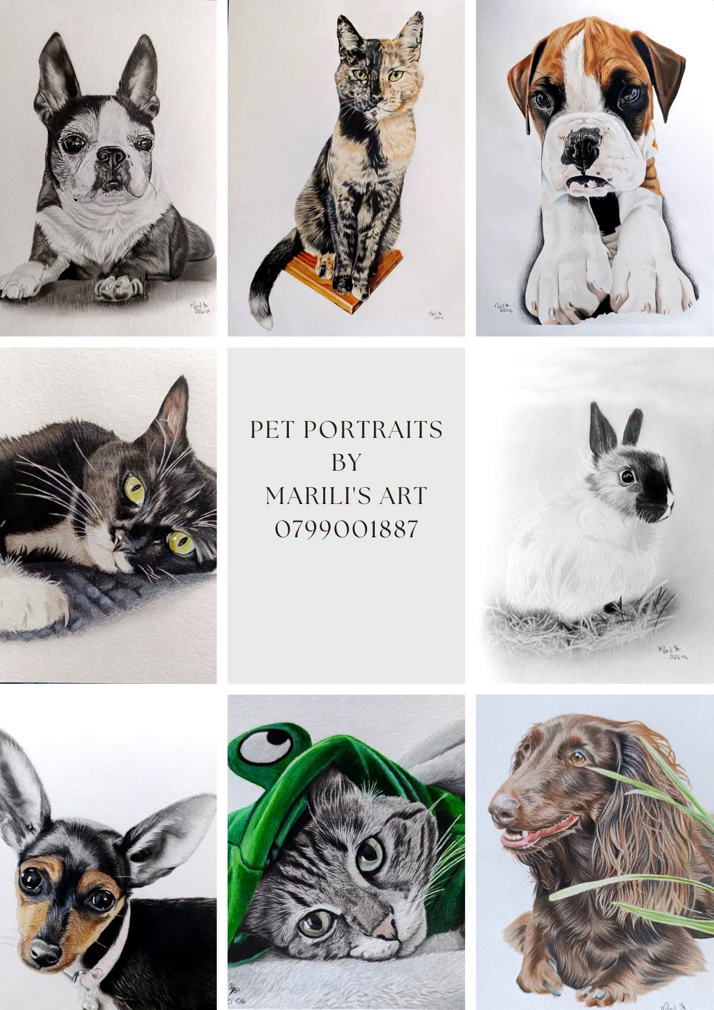 Pet Portraits