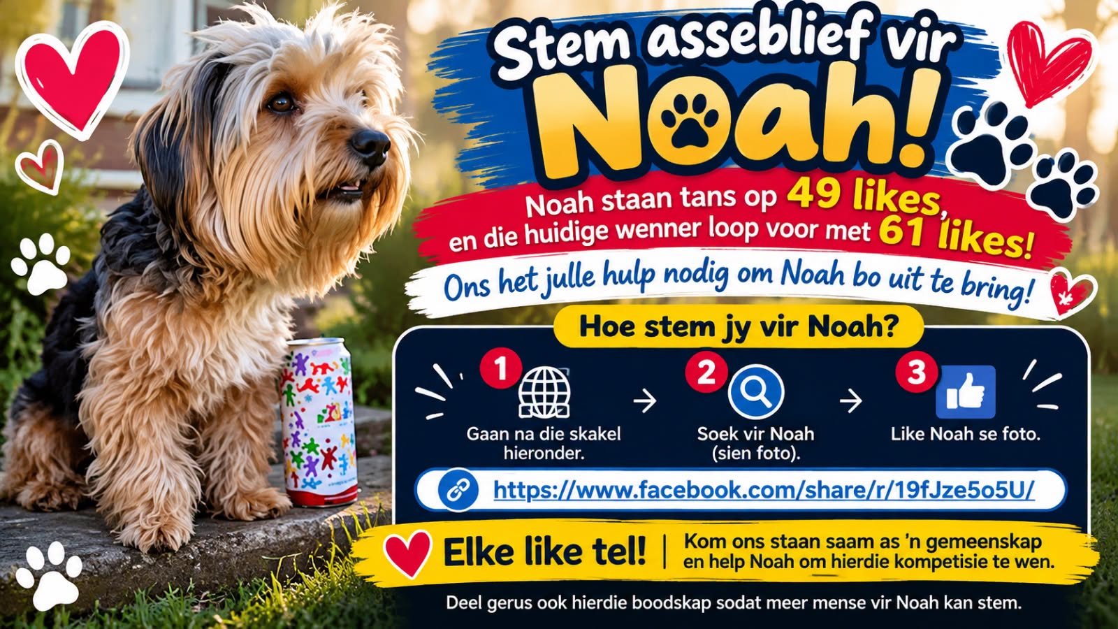 Stem asseblief vir Noah!